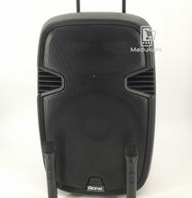 Aone Rechargeable Portable Amplified Powered Speaker System with 2 Microphones